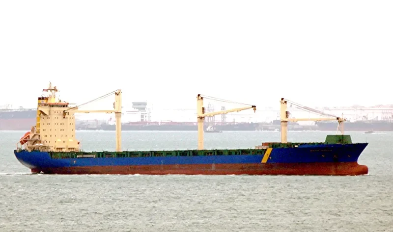 BOMA Container Ship IMO 9204489 photo 7
