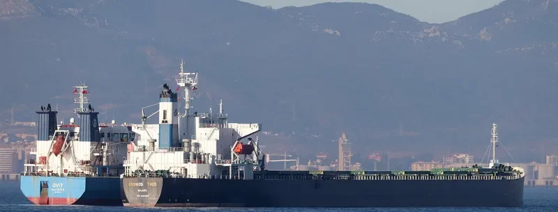EVOIKOS THEO Bulk Carrier IMO 9204685 photo 2