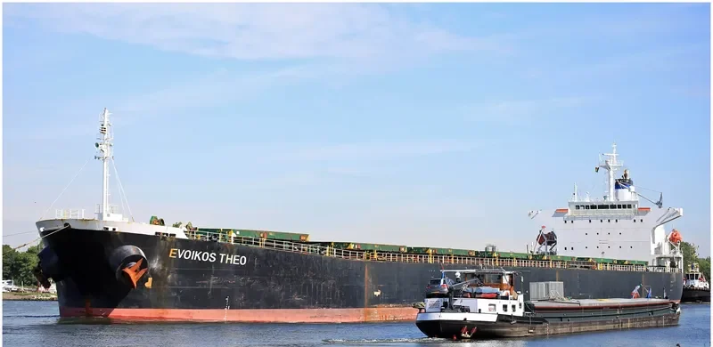 EVOIKOS THEO Bulk Carrier IMO 9204685 photo 5