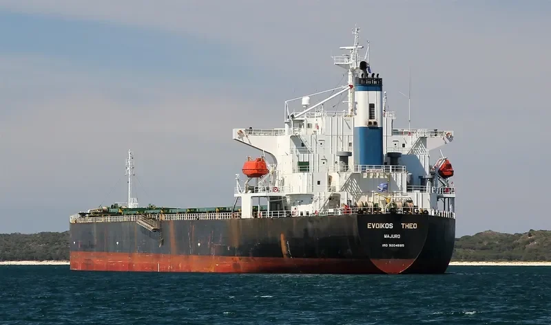 EVOIKOS THEO Bulk Carrier IMO 9204685 photo 8