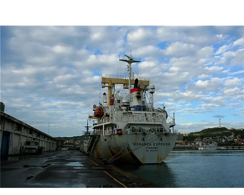 EVER COMFORT General Cargo IMO 9205550 photo 10
