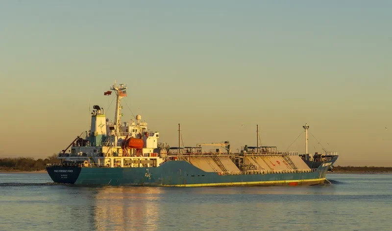 PGC STRIDENT FORCE General Cargo IMO 9205574 photo 4
