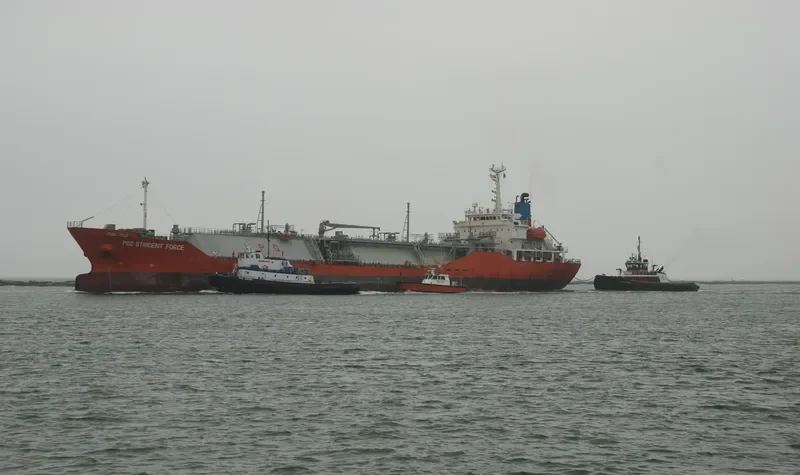 PGC STRIDENT FORCE General Cargo IMO 9205574 photo 7