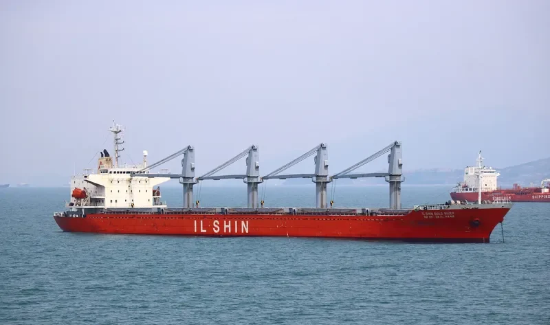 IL SHIN GOLD RIVER Bulk Carrier IMO 9205603 photo 2