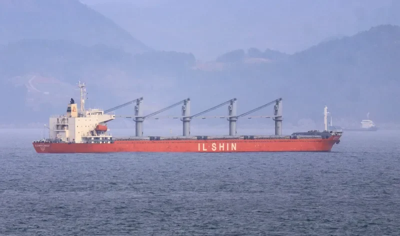 IL SHIN GOLD RIVER Bulk Carrier IMO 9205603 photo 3