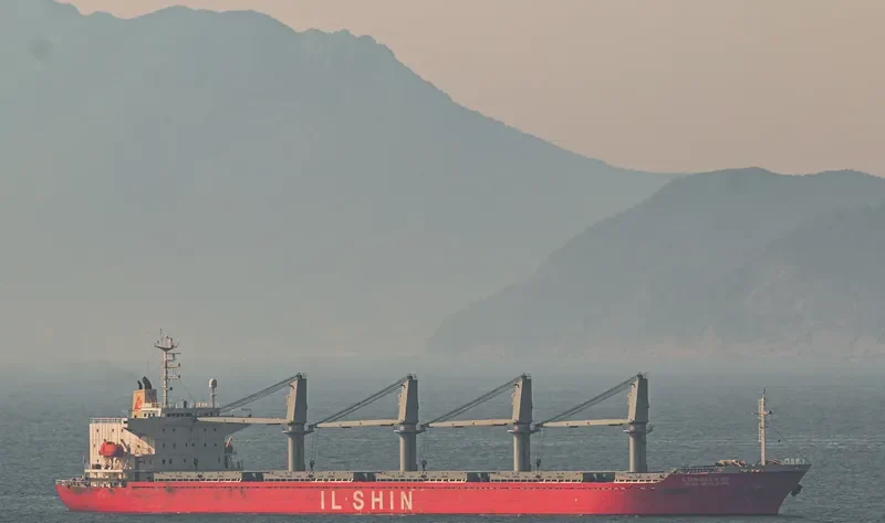 IL SHIN GOLD RIVER Bulk Carrier IMO 9205603 photo 10