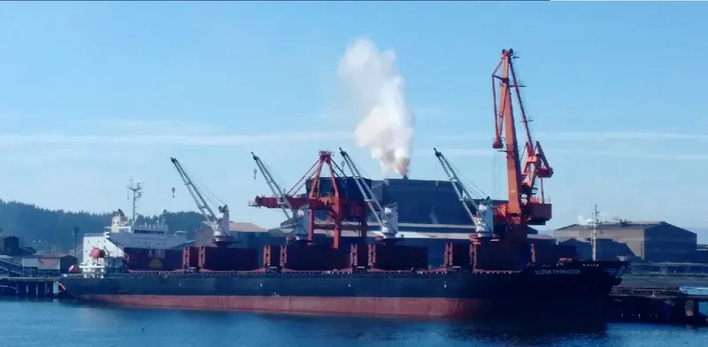 ULTRA TRONADOR Bulk Carrier IMO 9205615