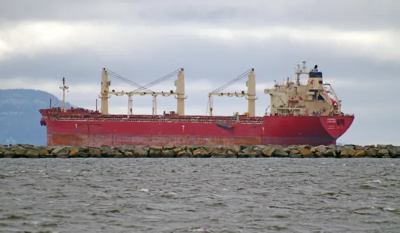 FEDERAL KIVALINA Bulk Carrier IMO 9205885 photo 3