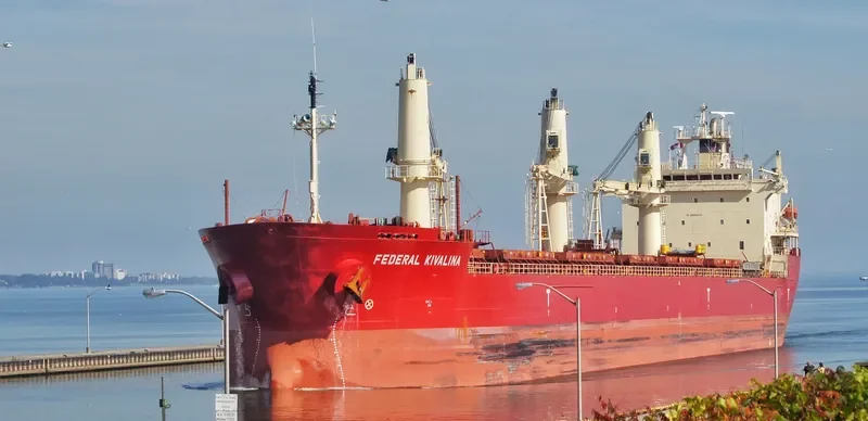 FEDERAL KIVALINA Bulk Carrier IMO 9205885 photo 5