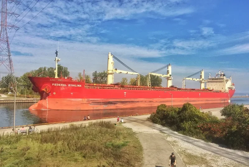 FEDERAL KIVALINA Bulk Carrier IMO 9205885 photo 6