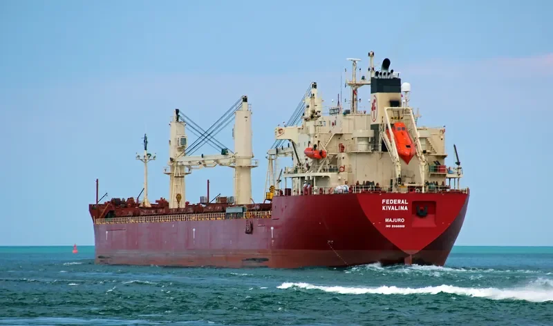 FEDERAL KIVALINA Bulk Carrier IMO 9205885 photo 30