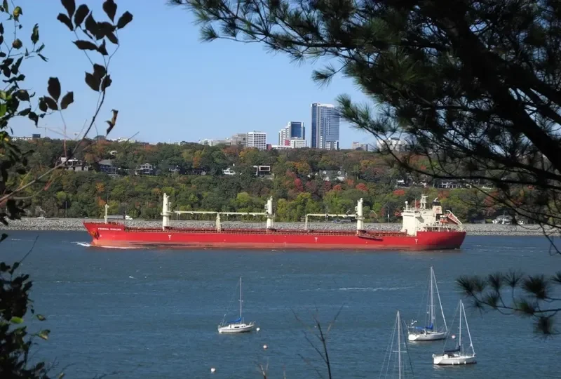 FEDERAL KIVALINA Bulk Carrier IMO 9205885 photo 34