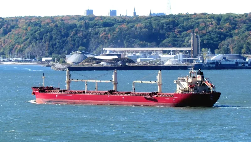 FEDERAL KIVALINA Bulk Carrier IMO 9205885 photo 36