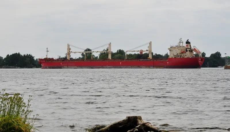 FEDERAL YUKON Bulk Carrier IMO 9205897 photo 10