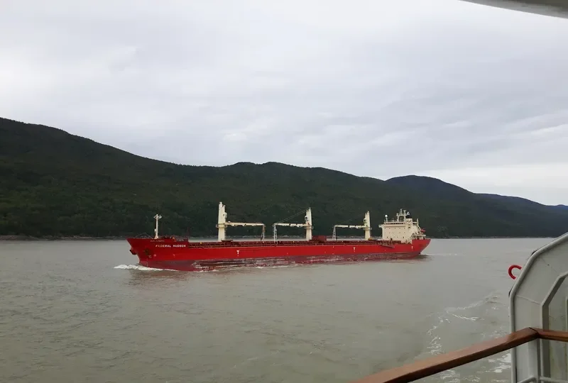FEDERAL HUDSON Bulk Carrier IMO 9205902