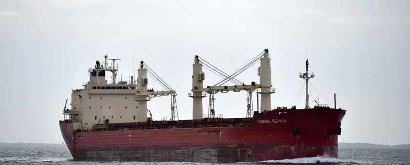 FEDERAL HUDSON Bulk Carrier IMO 9205902 photo 5