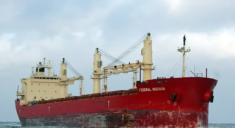 FEDERAL HUDSON Bulk Carrier IMO 9205902 photo 7