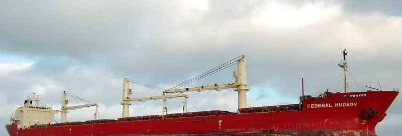 FEDERAL HUDSON Bulk Carrier IMO 9205902 photo 8