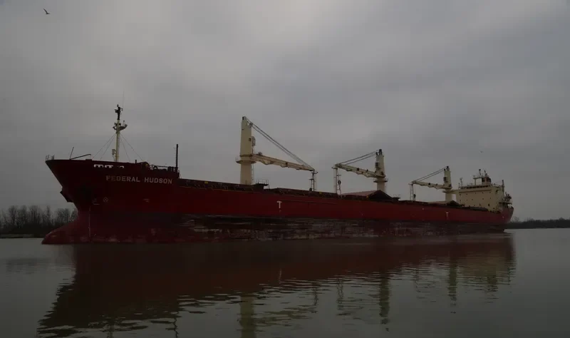 FEDERAL HUDSON Bulk Carrier IMO 9205902 photo 10