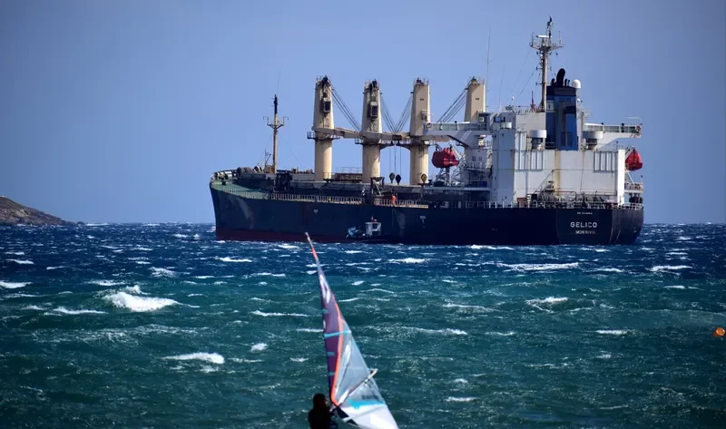 GELICO Bulk Carrier IMO 9205914 photo 3