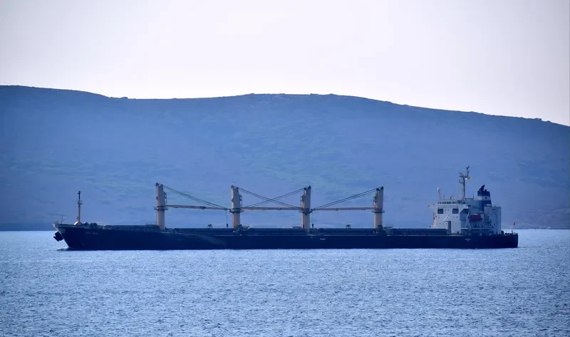 GELICO Bulk Carrier IMO 9205914 photo 4