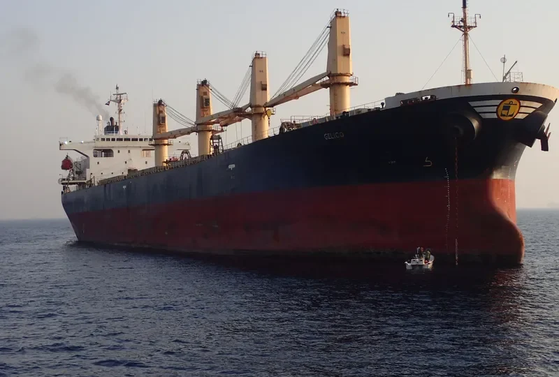 GELICO Bulk Carrier IMO 9205914 photo 6