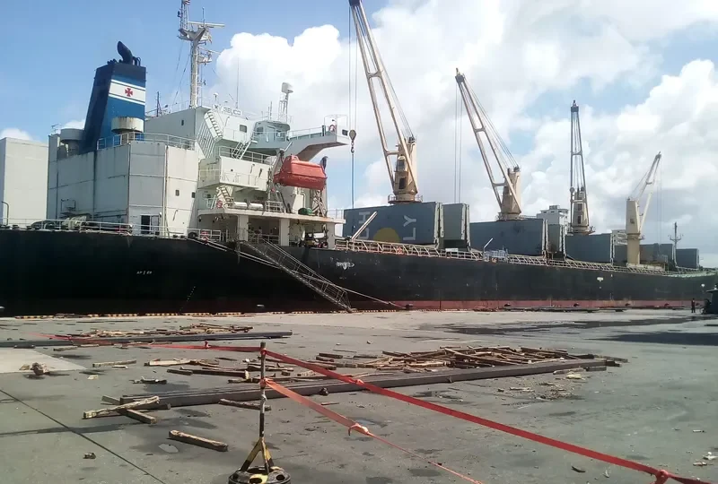GELICO Bulk Carrier IMO 9205914 photo 7