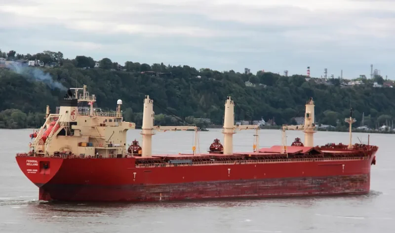 FEDERAL WELLAND Bulk Carrier IMO 9205926
