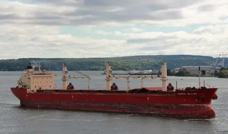 FEDERAL WELLAND Bulk Carrier IMO 9205926 photo 2