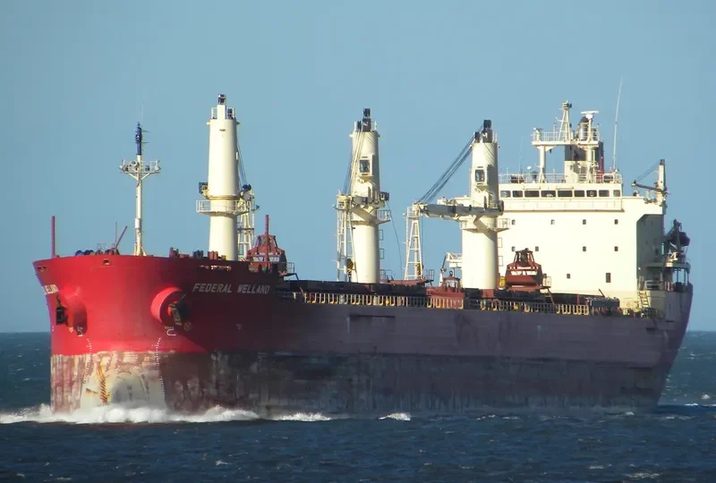 FEDERAL WELLAND Bulk Carrier IMO 9205926 photo 7
