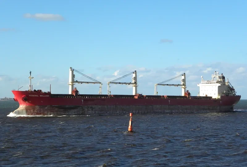 FEDERAL WELLAND Bulk Carrier IMO 9205926 photo 8