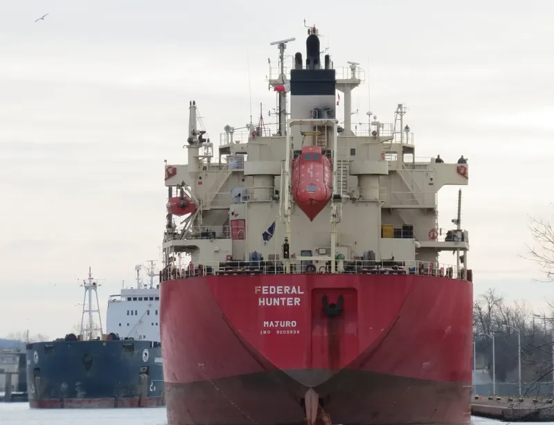 FEDERAL HUNTER Bulk Carrier IMO 9205938 photo 2