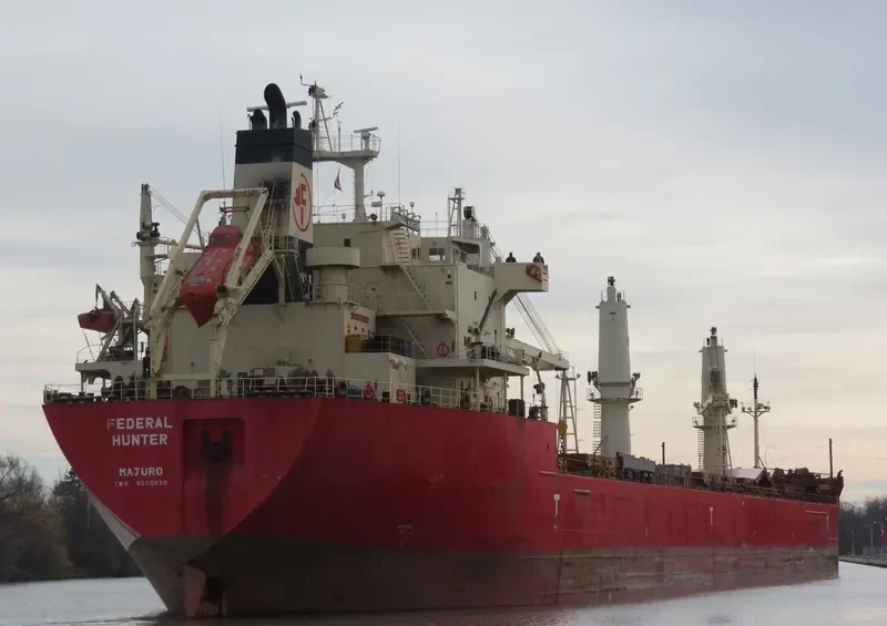 FEDERAL HUNTER Bulk Carrier IMO 9205938 photo 3