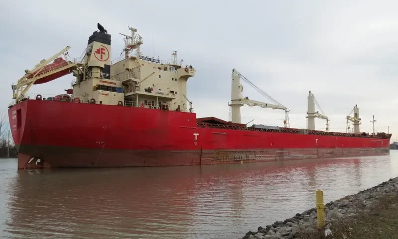 FEDERAL HUNTER Bulk Carrier IMO 9205938 photo 4