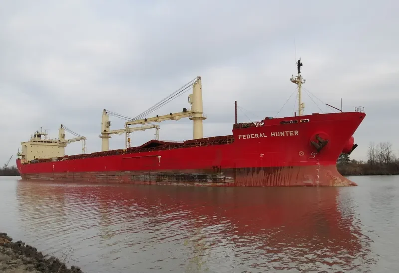 FEDERAL HUNTER Bulk Carrier IMO 9205938 photo 5