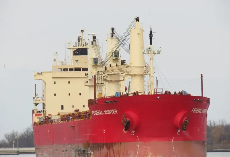 FEDERAL HUNTER Bulk Carrier IMO 9205938 photo 6