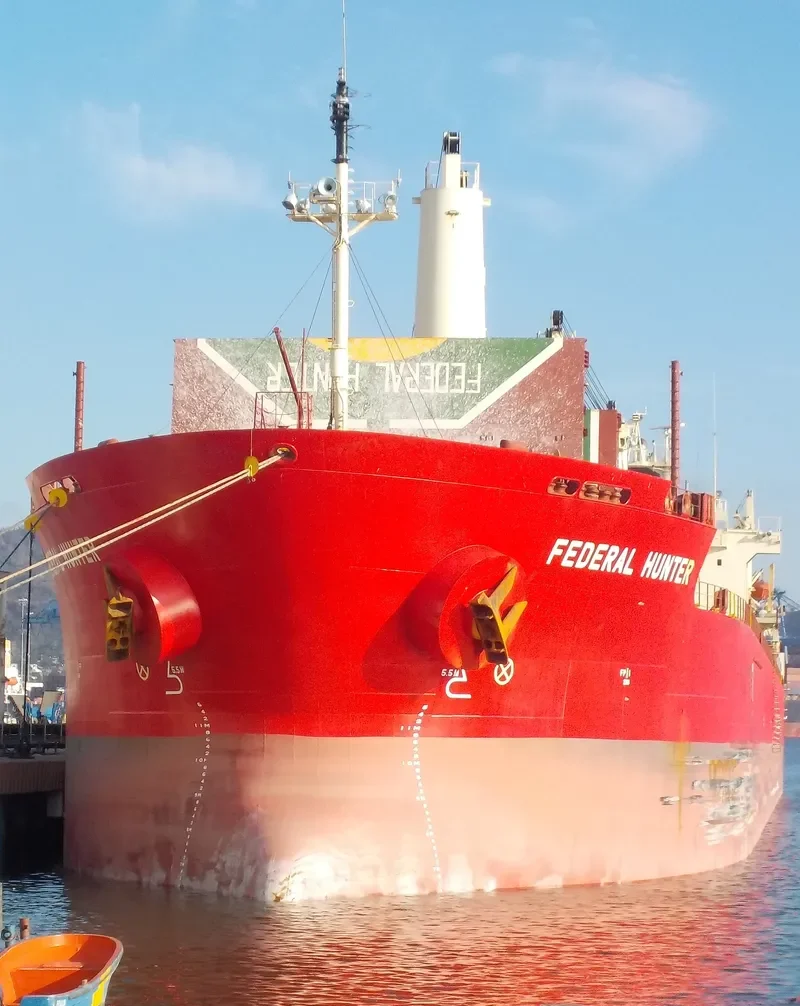 FEDERAL HUNTER Bulk Carrier IMO 9205938 photo 9