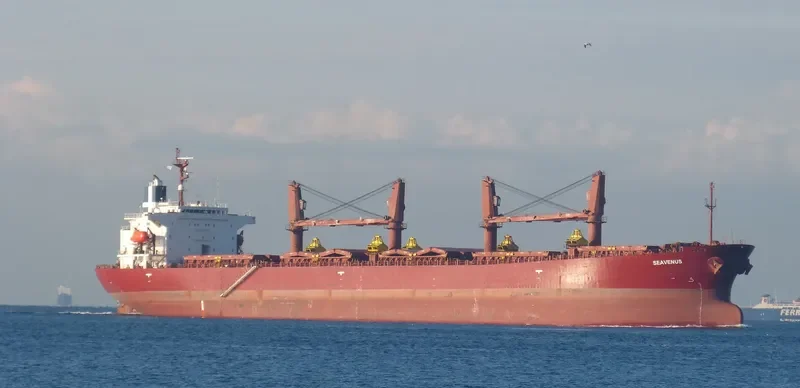 SEAVENUS Bulk Carrier IMO 9205940 photo 9