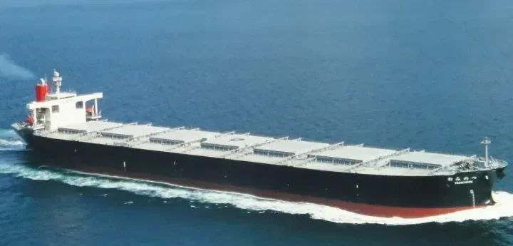 TSUNOMINE Bulk Carrier IMO 9205990