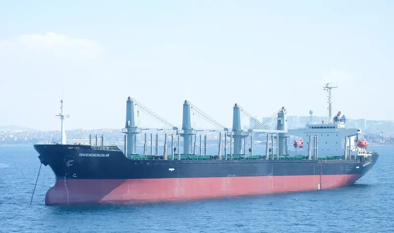 ISKENDERUN M Bulk Carrier IMO 9206140