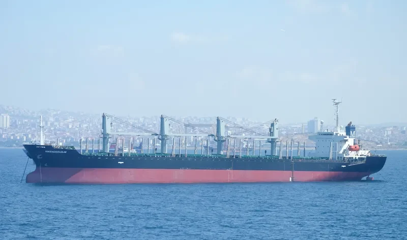 ISKENDERUN M Bulk Carrier IMO 9206140 photo 2