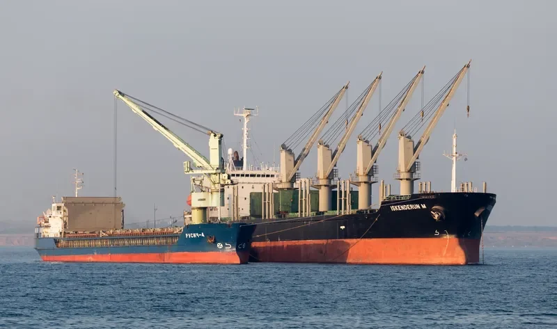 ISKENDERUN M Bulk Carrier IMO 9206140 photo 3