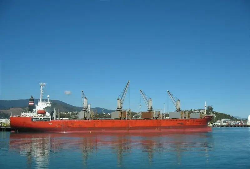 ISKENDERUN M Bulk Carrier IMO 9206140 photo 8