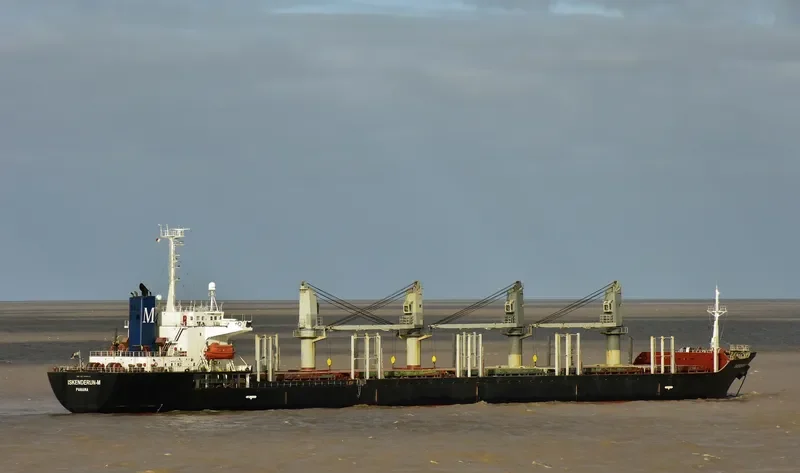 ISKENDERUN M Bulk Carrier IMO 9206140 photo 9