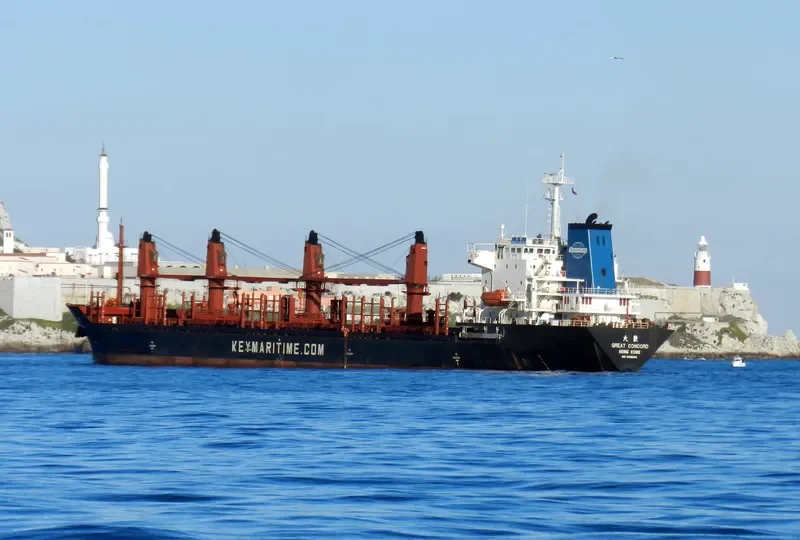 GREAT CONCORD Bulk Carrier IMO 9206695 photo 2