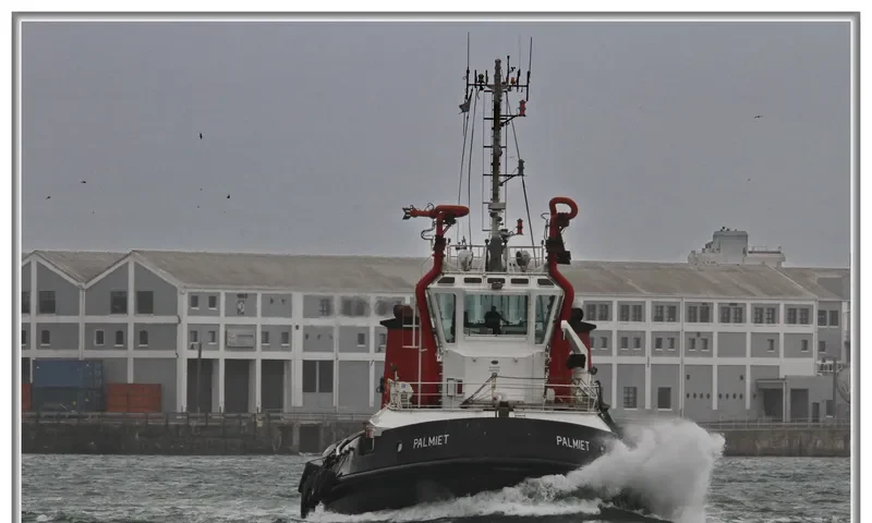 PALMIET General Cargo IMO 9206762 photo 3