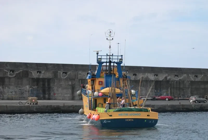 MESTRE AFONSO General Cargo IMO 9207223 photo 8
