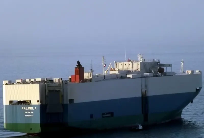 PALMELA General Cargo IMO 9207388