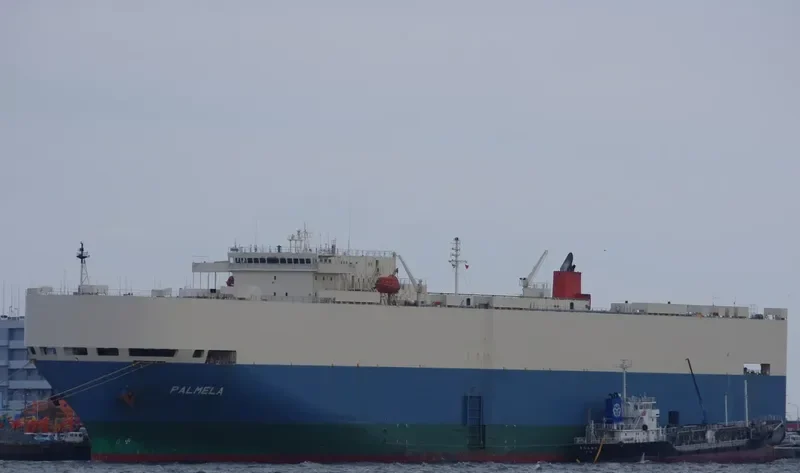 PALMELA General Cargo IMO 9207388 photo 2