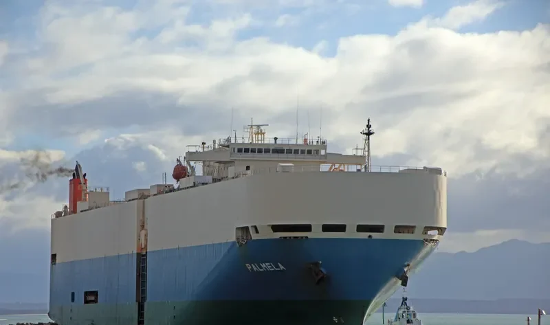 PALMELA General Cargo IMO 9207388 photo 4